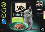dm-drogerie markt Sheba Nassfutter Katze Kitten mit Lachs & Huhn, feine Vielfalt in Sauce, Junior Multipack (12x85 g) - bis 15.06.2024