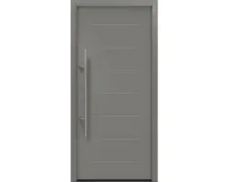Haustür EcoStar ISOPRO Secur IPS 015 1100 x 2100 mm Links RAL 9007 graualuminium matt inkl. Beschlag-Set,Edelstahl Stangengriff,Sicherheitsprofilzylinder mit 5 Schlüsseln