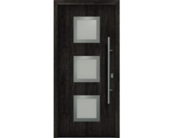 Haustür EcoStar ISOPRO IP 810S 1100 x 2100 mm Rechts night oak inkl. Beschlag-Set,Edelstahl Stangengriff,Sicherheitsprofilzylinder mit 5 Schlüsseln