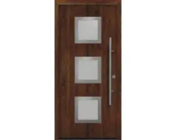Haustür EcoStar ISOPRO Secur IPS 810S 1100 x 2100 mm Rechts dark oak inkl. Beschlag-Set,Edelstahl Stangengriff,Sicherheitsprofilzylinder mit 5 Schlüsseln