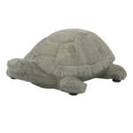 Ernsting's family Dekofigur Schildkröte aus Zement - bis 21.04.2024