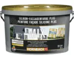 Hornbach HORNBACH Silikon Fassadenfarbe Plus im Wunschfarbton mischen lassen 10 l Basis A