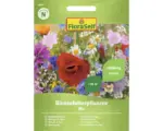 Hornbach Blumenmischung FloraSelf 'Bienenfutterpflanzen einjährig'