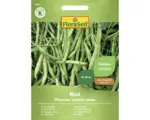 Hornbach Gemüsesamen FloraSelf Buschbohnen ' Maxi '