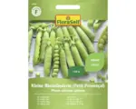 Hornbach Gemüsesamen FloraSelf Erbsen 'Kleine Rheinländerin'