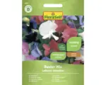 Hornbach Blumensamen FloraSelf Edelwicke 'Bunte Mischung'