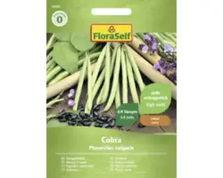 Gemüsesamen FloraSelf Stangenbohnen 'Cobra'