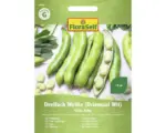 Hornbach Gemüsesamen FloraSelf Puffbohne 'Dreifach Weiße (Driemaal Wit)'