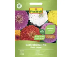 Blumensamen FloraSelf Zinnie 'Dahlienblütige Mischung'
