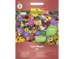 Hornbach Blumenmischung FloraSelf Select raschblühende Sommerblumen 'Last Minute'