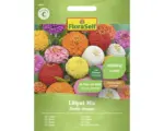 Hornbach Blumensamen FloraSelf Zinnie 'Liliput Mischung'