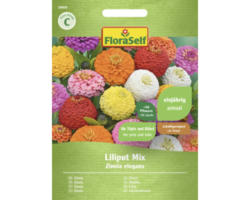 Blumensamen FloraSelf Zinnie 'Liliput Mischung'