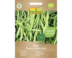 Gemüsesamen FloraSelf Bio Buschbohnen 'Maxi'
