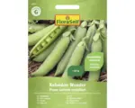Hornbach Gemüsesamen FloraSelf Erbsen 'Kelvedon Wonder'