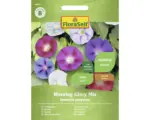 Hornbach Blumensamen FloraSelf Prunkwinde 'Morning Glory Mischung'