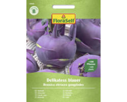 Gemüsesamen FloraSelf Kohlrabi 'Delikatess blauer'