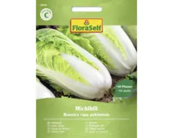 Gemüsesamen FloraSelf Chinakohl 'Michihli'