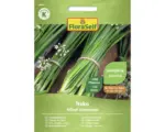 Hornbach Kräutersamen FloraSelf Schnittknoblauch 'Neko'