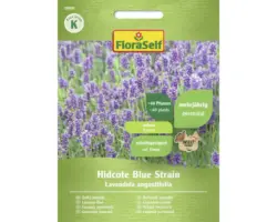 Kräutersamen FloraSelf Lavendel 'Hidcote Blue Strain'