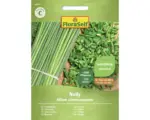 Hornbach Kräutersamen FloraSelf Schnittlauch 'Nelly'