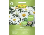 Hornbach Staudensamen FloraSelf Margerite 'Alaska'