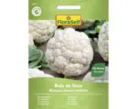 Hornbach Gemüsesamen FloraSelf Karfiol 'Bola de Neve'