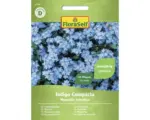 Hornbach Blumensamen FloraSelf Vergissmeinnicht 'Indigo Compacta'