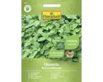 Hornbach Kräutersamen FloraSelf Zitronenmelisse 'Citronella'