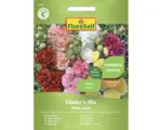 Hornbach Blumensamen FloraSelf Stockrose 'Chater’s Mischung'