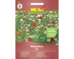 Hornbach Blumenmischung FloraSelf Select 'Naturwiese' mit mehrjährigen Wildblumen