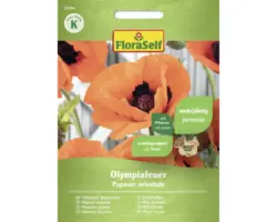 Staudensamen FloraSelf Goldmohn 'Olympiafeuer'