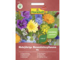 Hornbach Blumenmischung FloraSelf Select 'Mehrjährige Bienenfutterpflanzen'