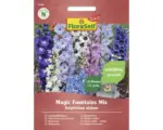 Hornbach Staudensamen FloraSelf Select kompakter Stauden-Rittersporn 'Magic Fountains Mix'