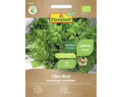 Kräutersamen FloraSelf Bio Kerbel