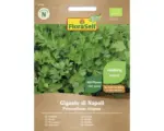 Hornbach Kräutersamen FloraSelf Bio Petersilie 'Gigante di Napoli'