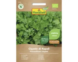 Kräutersamen FloraSelf Bio Petersilie 'Gigante di Napoli'