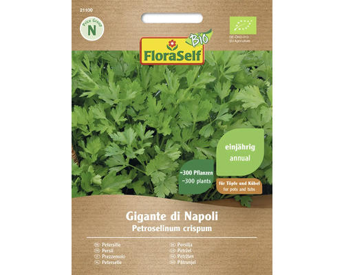 Kräutersamen FloraSelf Bio Petersilie 'Gigante di Napoli'