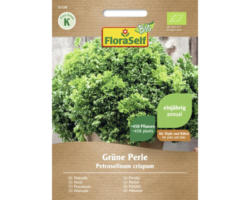 Kräutersamen FloraSelf Bio Petersilie 'Grüne Perle'