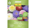 Hornbach Blumensamen FloraSelf Sommeraster 'Prinzess Mischung'