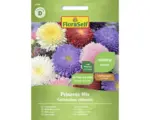 Hornbach Blumensamen FloraSelf Sommeraster 'Prinzess Mischung'