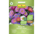 Hornbach Blumensamen FloraSelf Sommeraster 'Zwerg Mischung'