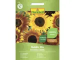 Hornbach Blumensamen FloraSelf Sonnenblume 'Debilis Mischung'