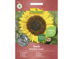 Hornbach Blumensamen FloraSelf Select Sonnenblume 'Snack'