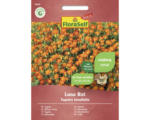 Hornbach Blumensamen FloraSelf Select kleinblütige Studentenblume Tagetes tenuifolia ' Luna Rot '