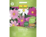 Hornbach Blumensamen FloraSelf Schmuckkörbchen/Cosmos 'Sensation Mischung'