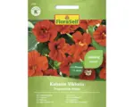 Hornbach Blumensamen FloraSelf Kapuzinerkresse 'Kaiserin Viktoria'