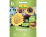 Hornbach Blumensamen FloraSelf Sonnenblume 'Riesenblumige Mischung'