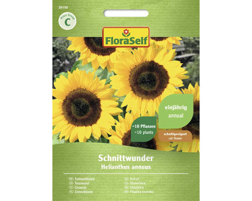 Blumensamen FloraSelf Sonnenblume 'Schnittwunder'