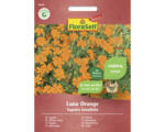 Hornbach Blumensamen FloraSelf Select kleinblütige Studentenblume Tagetes tenuifolia 'Luna Orange'