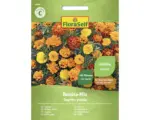 Hornbach Blumensamen FloraSelf groblütige Studentenblume 'Bonita-Mischung'